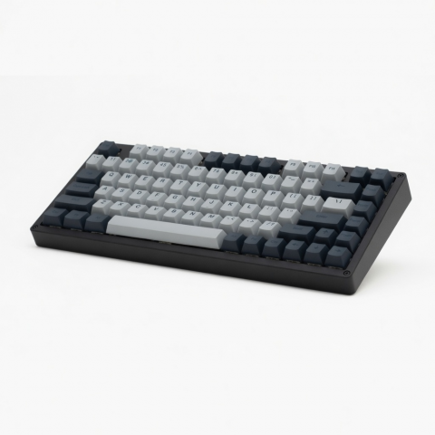 Mechanical Keyboard, 65-Key Compact Layout, Dual-Tone Keycaps