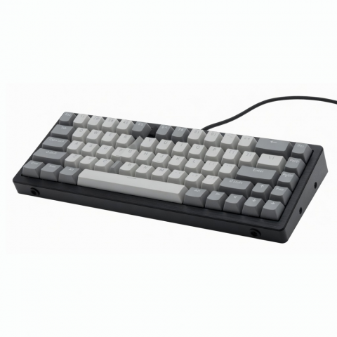 65-Key Mechanical Keyboard, Wired, Compact Black and Gray Design